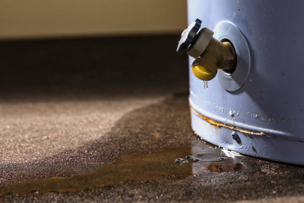  Las Vegas, NM Water damage restoration Pros