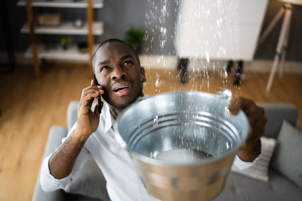 Best Local water damage restoration  in Las Vegas, NM