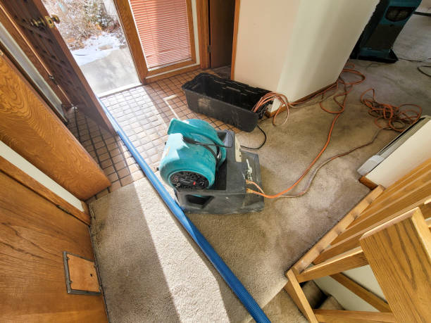 Best Commercial water damage restoration  in Las Vegas, NM