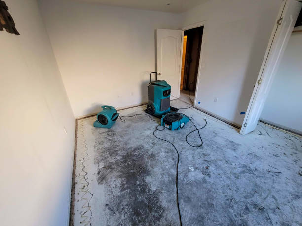 Best Professional water damage repair  in Las Vegas, NM