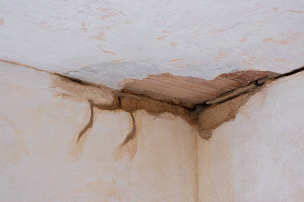 Best Water damage repair service  in Las Vegas, NM