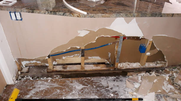 Best Mold removal after water damage  in Las Vegas, NM