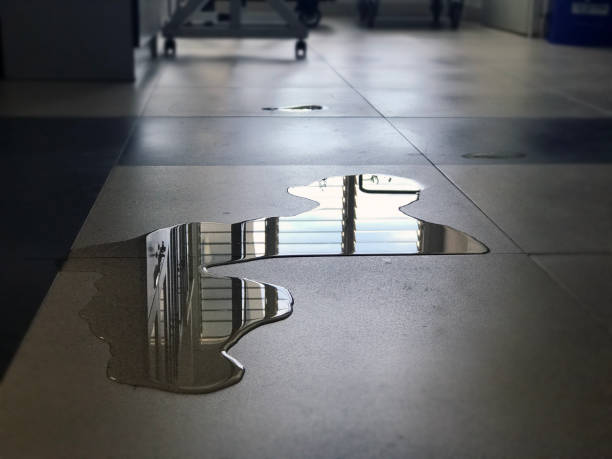 Best Water damage contractors near me  in Las Vegas, NM