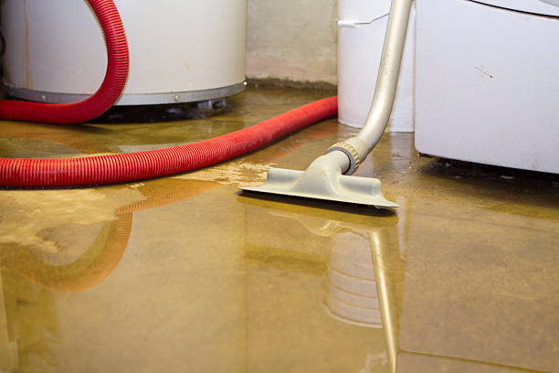 Best Water damage restoration process  in Las Vegas, NM