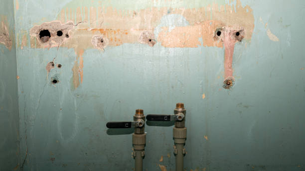 Best Water damage restoration near me  in Las Vegas, NM