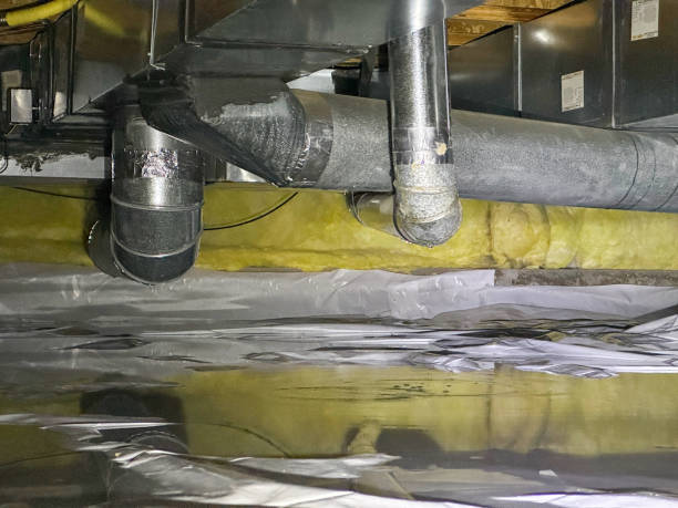 Best Sewage cleanup and water damage restoration  in Las Vegas, NM