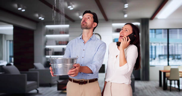 Best Ceiling water damage repair  in Las Vegas, NM