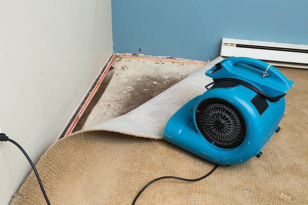 Water damage restoration process in NM